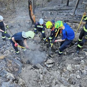 WaldbrandRein (23)